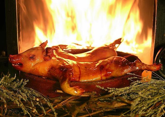 suckling pig spanish tapas offer deal glebe sydney